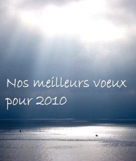 Bonne ann�e 2010!!!