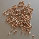  Abrasif v�g�tal LIGNO 16